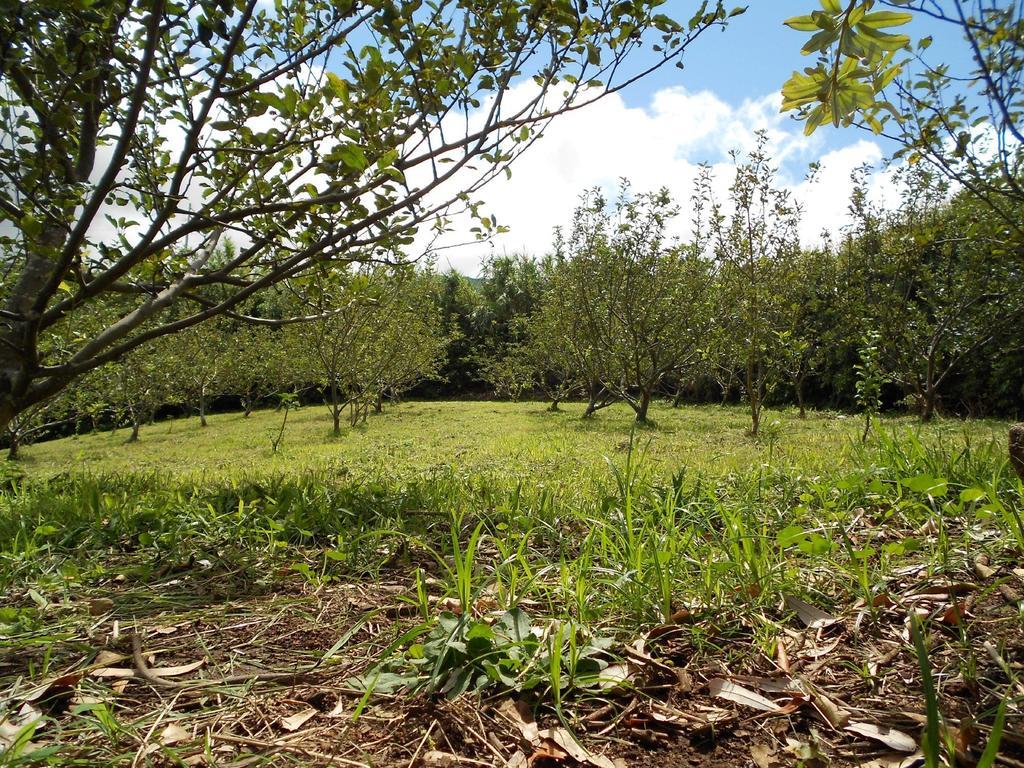 Quinta Rico Villa Quatro Ribeiras Kültér fotó